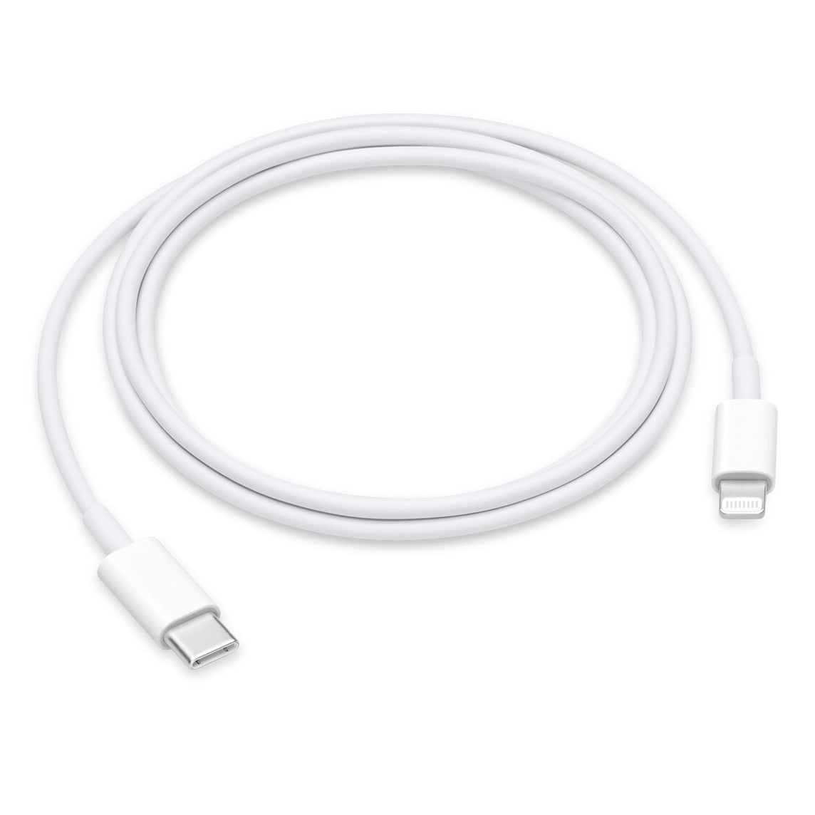 USB-C to Lightning connector cable (1 m)